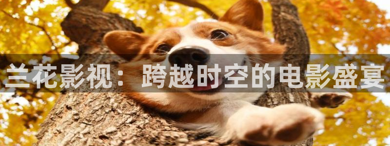 好看影院在线观看电影：兰花影视：跨越时空的电影盛宴