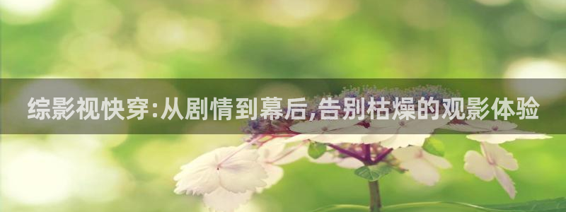 《四库影视》电视剧在线观看-好看影院：综影视快穿:从剧情到幕后,告别枯燥的观影体验