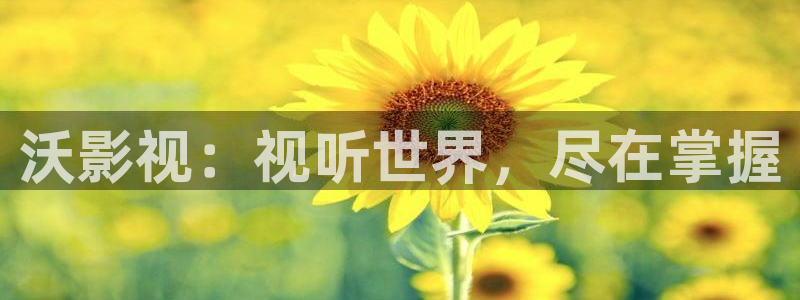 好看影院在线观看电影：沃影视：视听世界，尽在掌握