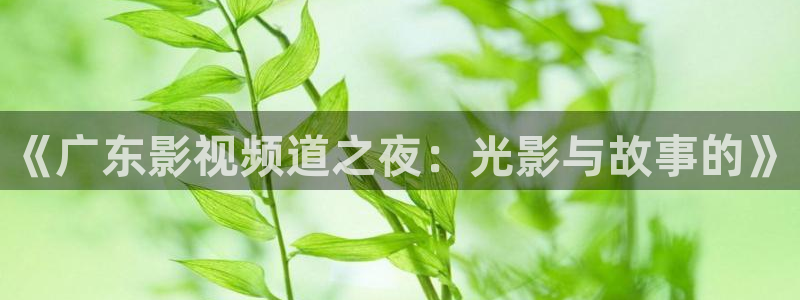 好看影院在线观看：《广东影视频道之夜：光影与故事的》