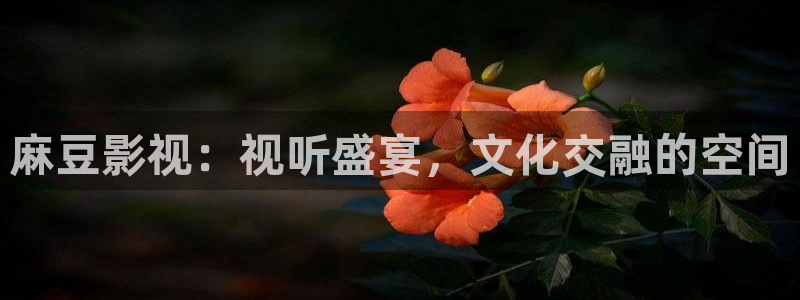 好看影院在线观看电影