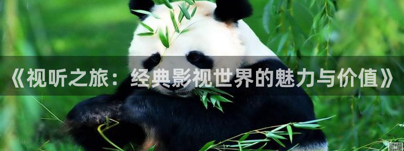 好看影院在线观看：《视听之旅：经典影视世界的魅力与价值》