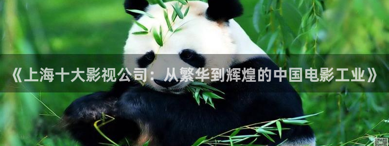 《四库影视》电视剧在线观看-好看影院：《上海十大影视公司：从繁华到辉煌的中国电影工业》